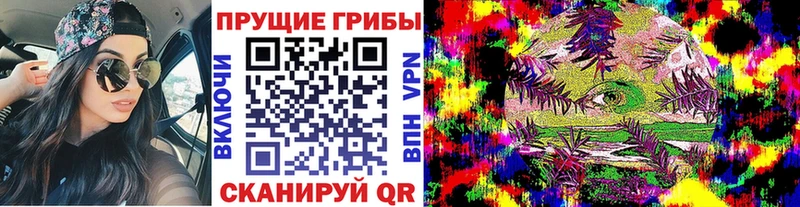 Псилоцибиновые грибы Psilocybe  маркетплейс формула  Сарапул 